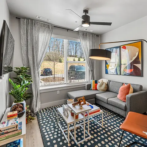 Furnished living space